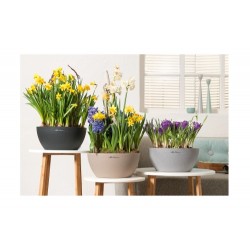 Self-Watering Plastic Planter Lechuza CUBETO Color 30 Self-Watering Planters CUBETO Color 30 | Kipogeorgiki