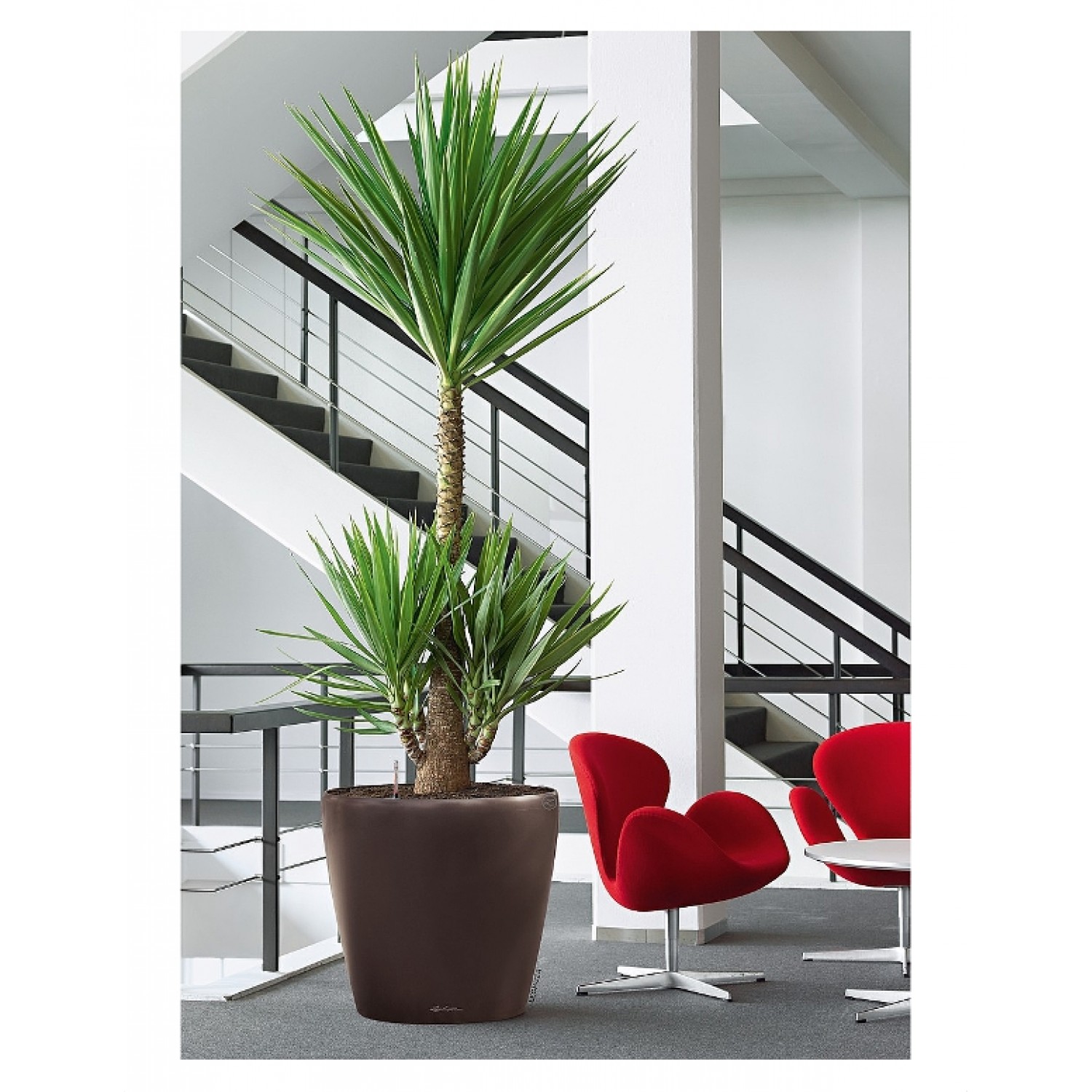 Lechuza CLASSICO Premium LS 70