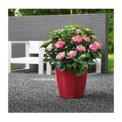 Self-Watering Plastic Planters Lechuza CLASSICO Premium LS 21 Self-Watering Plastic Planters Lechuza CLASSICO Premium LS 21