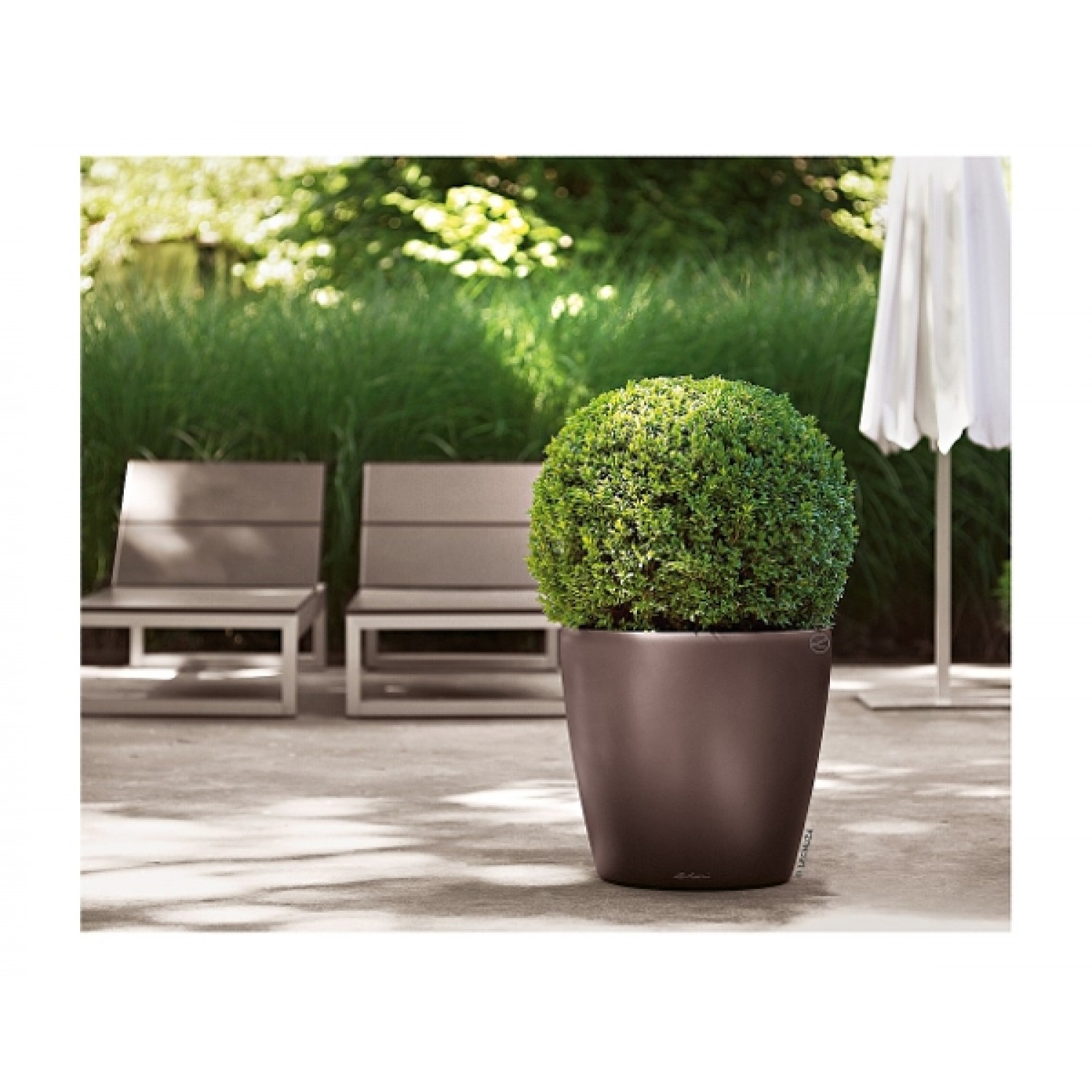 Lechuza CLASSICO Premium LS 60