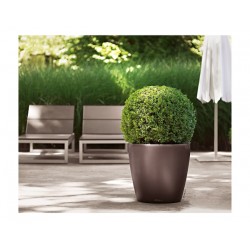 Self-Watering Plastic Planter Lechuza CLASSICO Premium LS 60  Self-Watering Plastic Planters Lechuza CLASSICO Premium LS 60