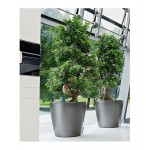 Lechuza CLASSICO Premium LS 70