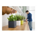 Self-Watering Plastic Planter CUBE Color 14  Self-Watering Plastic Planters CUBE Color 14