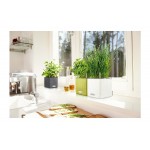 Self-Watering Plastic Planter CUBE Color 14  Self-Watering Plastic Planters CUBE Color 14