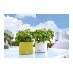 Self-Watering Plastic Planter CUBE Color 14  Self-Watering Plastic Planters CUBE Color 14