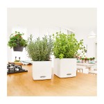Self-Watering Plastic Planter CUBE Color 14  Self-Watering Plastic Planters CUBE Color 14