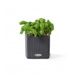 Self-Watering Plastic Planter CUBE Color 14  Self-Watering Plastic Planters CUBE Color 14