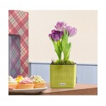 Self-Watering Plastic Planter CUBE Color 14  Self-Watering Plastic Planters CUBE Color 14