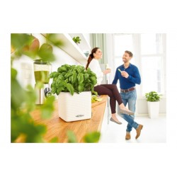 Self-Watering Plastic Planters Lechuza CUBE Color 16 Self-Watering Plastic Planters Lechuza CUBE Color 16