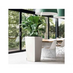 Self-Watering Plastic Planter Lechuza CUBICO Premium 30  Self-Watering Plastic Planters Lechuza CUBICO Premium 30