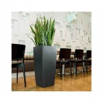 Self-Watering Plastic Planter Lechuza CUBICO Premium 40  Self-Watering Plastic Planters Lechuza CUBICO Premium 40
