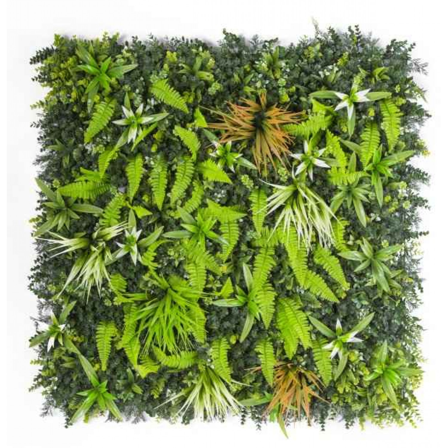 Green Wall Tile Jungle Mix 100x100cm | kipogeorgiki.gr