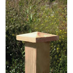 Post Wooden Pyramid Cap Nr 7