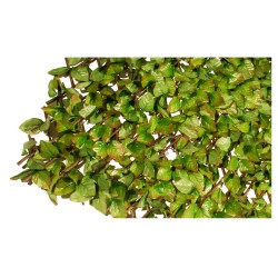 Decorative Expandable Plastic Foliage 100x300cm Decorative Expandable Plastic Foliage 100x300cm | kipogeorgiki.gr