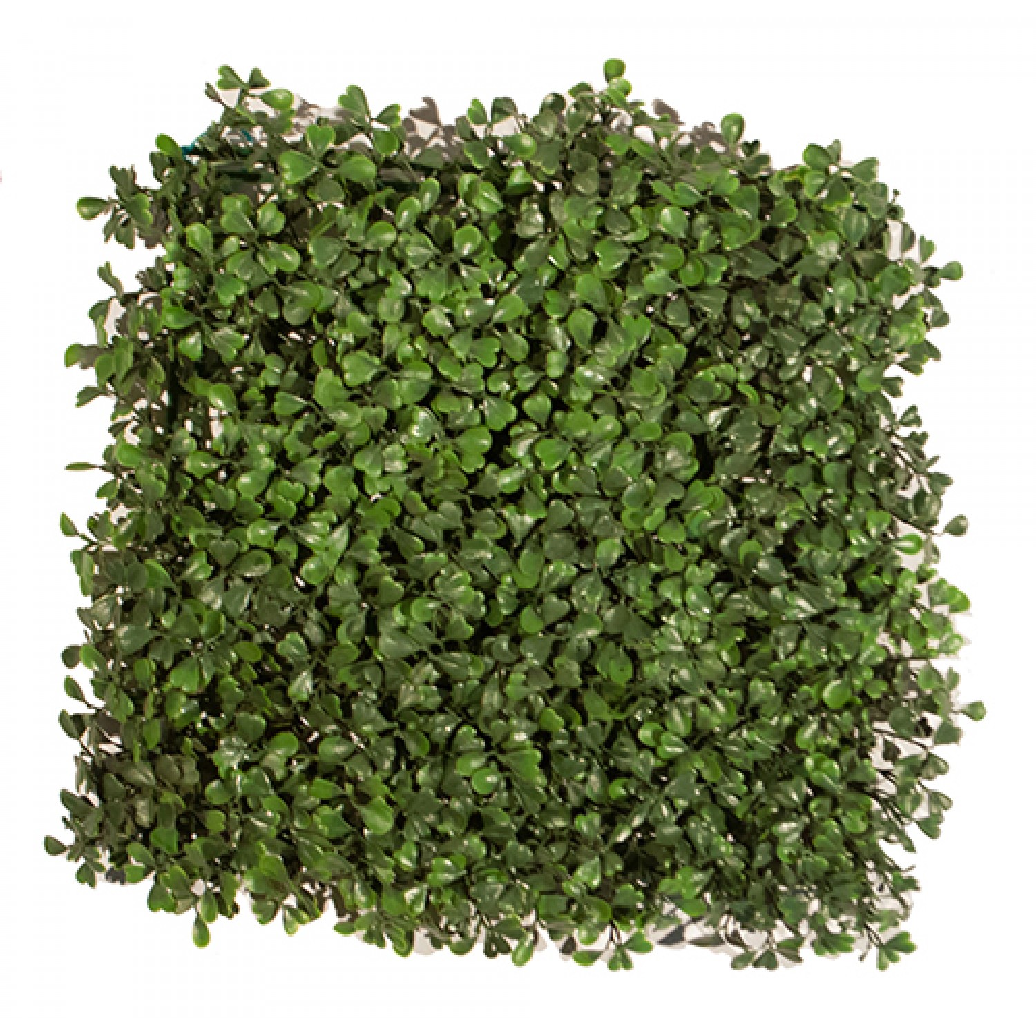 Synthetic Boxwood Shrub Foliation Ultimate Coverage 50x50cm | kipogeorgiki.gr