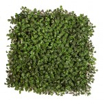 Synthetic Boxwood Shrub Foliation Ultimate Coverage 50x50cm | kipogeorgiki.gr