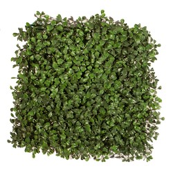 Synthetic Boxwood Shrub Foliation Ultimate Coverage 50x50cm Synthetic Boxwood Shrub Foliation Ultimate Coverage 50x50cm | kipogeorgiki.gr