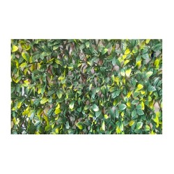 Συνθετικές Δίχρωμες Φυλλωσιές Σεφλέρα Επεκτεινόμενη σε Ξύλινο Πλέγμα 100x200cm | kipogeorgiki.gr 