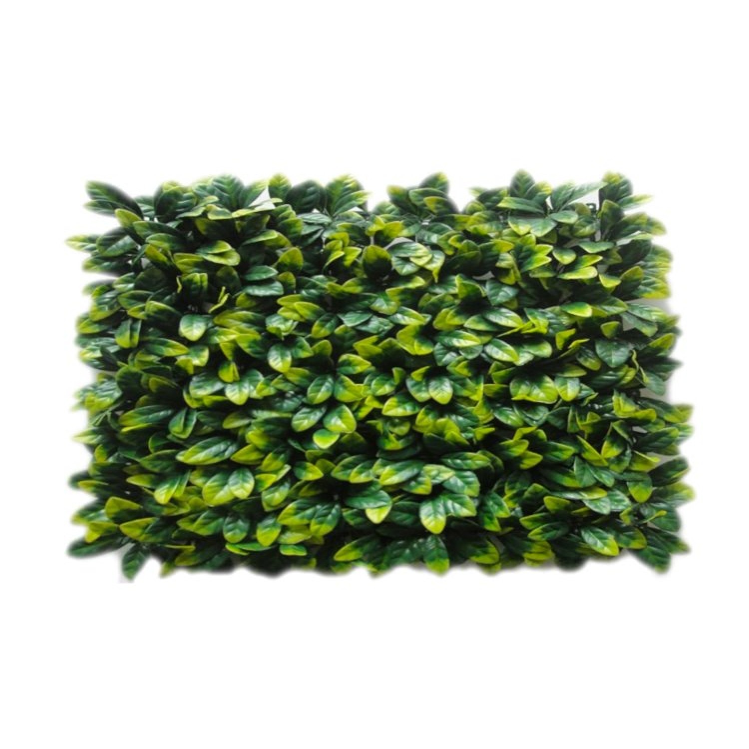 Decorative Schefflera Plastic Foliage 100x100cm | kipogeorgiki.gr