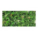 Green Wall Tile Jungle Mix 100x100cm | kipogeorgiki.gr