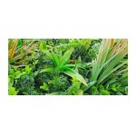 Green Wall Tile Jungle Mix 100x100cm | kipogeorgiki.gr
