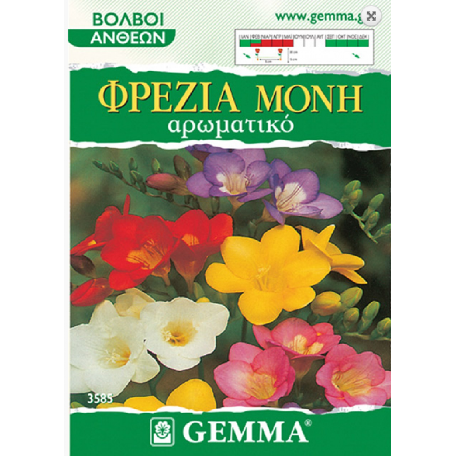 Freesia Mixed Colours Freesia Mixed Colours | kipogeorgiki.gr
