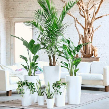 Αυτοποτιζόμενες Γλάστρες Lechuza - Συστήματα Ποτίσματος & Φύτευση