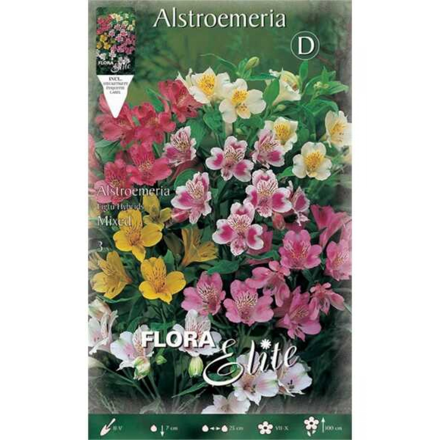 Lily of the Incas Mix (Alstroemeria spp.) Tuber Lily of the Incas Mix (Alstroemeria spp.) Tubers