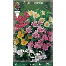 Lily of the Incas Mix (Alstroemeria spp.) Tubers