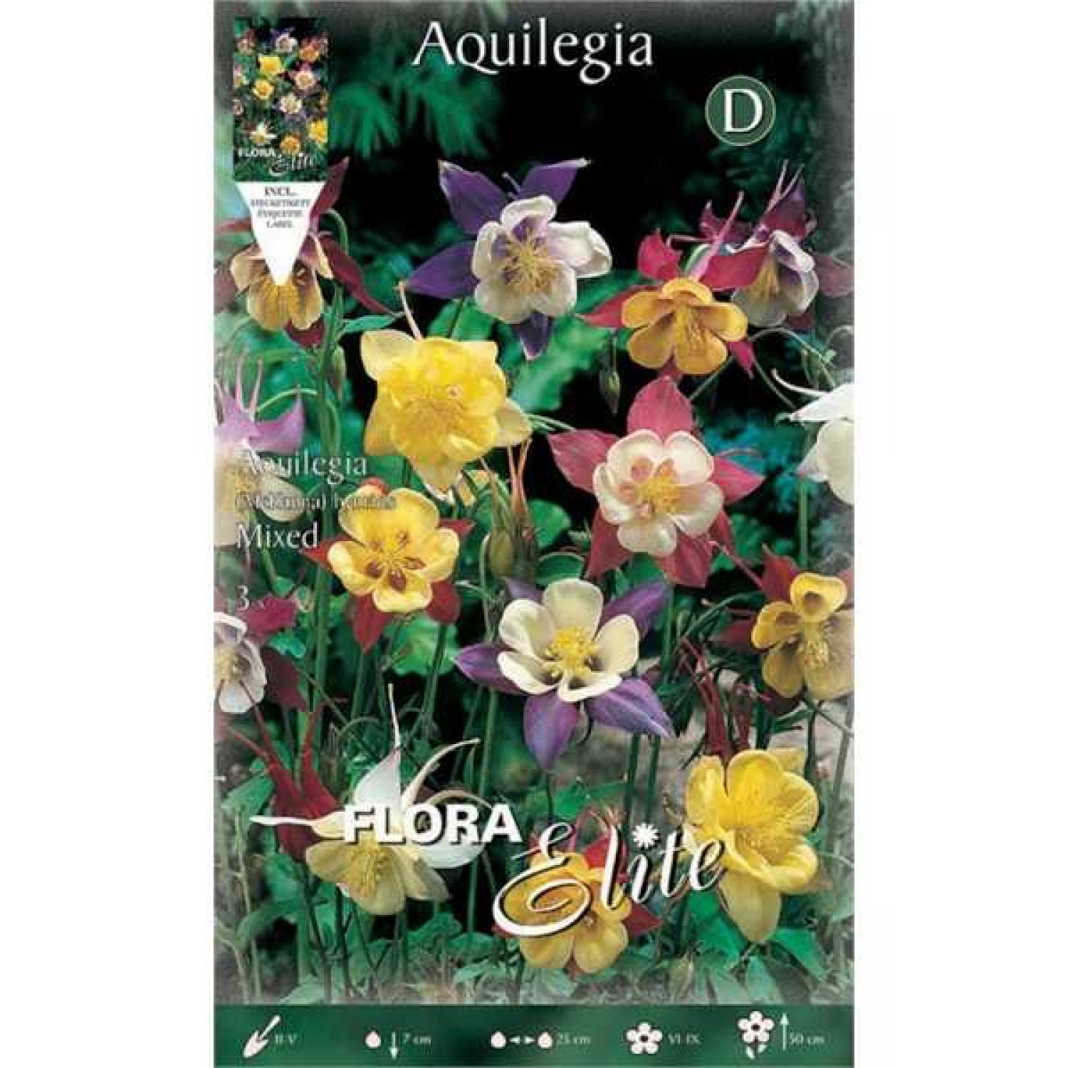 Columbine ‘Mckanna’ Mixed Various Colors (Aquilegia vulgaris ‘Mckanna’) Root - 806407 Columbine Various Colors ‘Mckanna’ Mixed - Roots