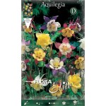 Columbine ‘Mckanna’ Mixed Various Colors (Aquilegia vulgaris ‘Mckanna’) Root - 806407 Columbine Various Colors ‘Mckanna’ Mixed - Roots