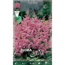 Astilbes Arendsii Pink (Astilbe × arendsii ‘Pink’) Rhizomes