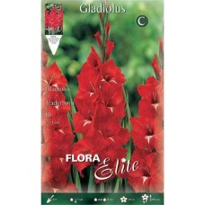 Γλαδιόλες Tradehorn Φάκελος 10 Βολβών Κόκκινο