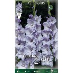 Γλαδιόλες Triton Φάκελος 10 Βολβών Λιλά