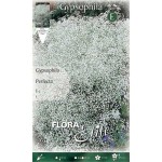 Γυψοφίλες Λευκές Perfecta Βολβοί (Gypsophila 'Perfecta')