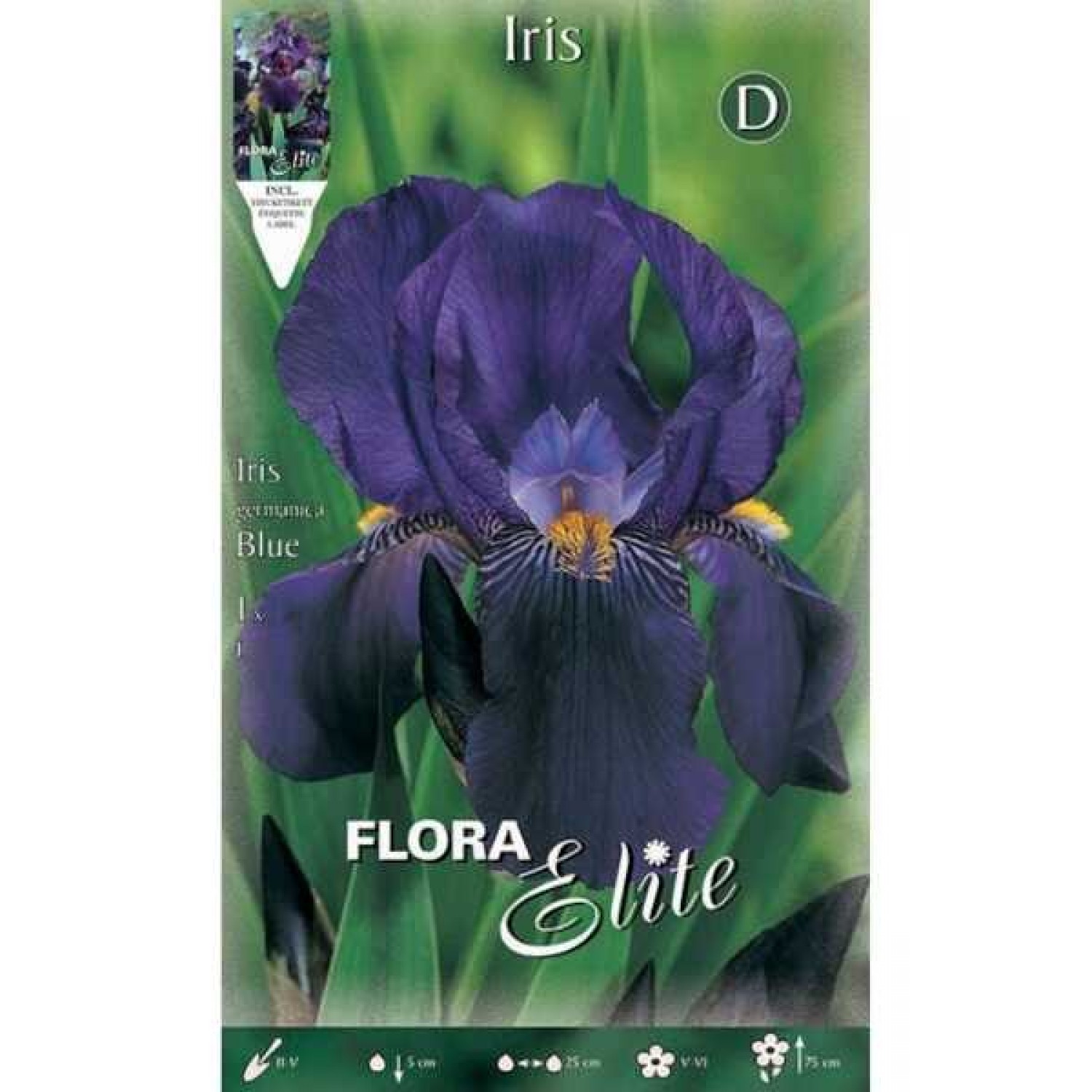 Bearded Iris Germanica Blue (Iris × germanica 'Blue')