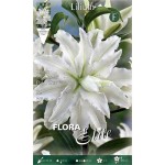 White Polar Star Double Lily (Lilium 'Polar Star') Bulb - Oriental Hybrids (792137) Polar Star Double Oriental Lilies (Lilium 'Polar Star')