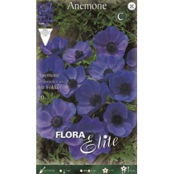 Ανεμώνη Ντε Καέν Γκρουπ 'Mr. Fokker' (Anemone coronaria 'Mr. Fokker') Βολβός-Κορμός - Ανεμώνες Βολβοί-Κορμοί
