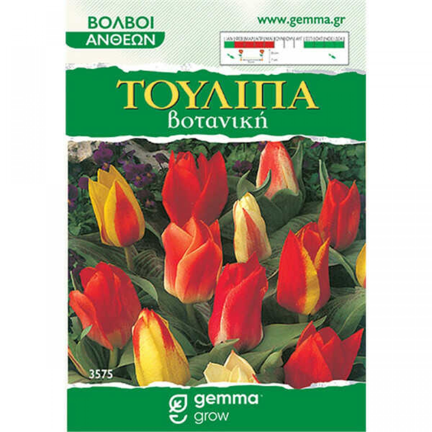 Τουλίπες Βοτανικές Μείγμα (Tulipa spp.) Βολβοί