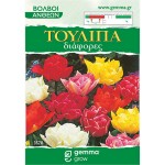 Τουλίπες Διάφορες Μείγμα (Tulipa spp.) Βολβοί