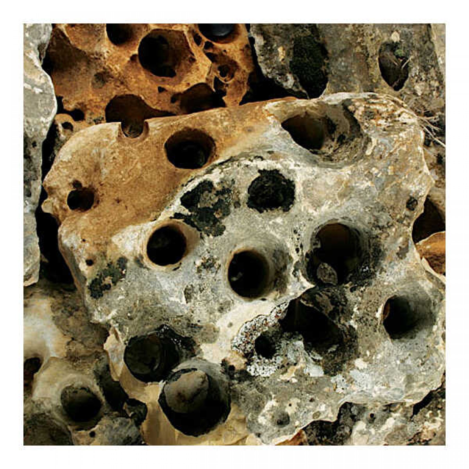 Πέτρες Κήπου Moonstone Βραχόκηπου | Διακόσμηση Κήπου με Πέτρα