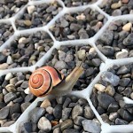 ECCOgravel Πλαστική Γεωκυψέλη Χαλικιού-Βότσαλου-Ψηφίδας 120x80x2cm Υδατοπερατή με Γεωύφασμα ECCO - Κυψελωτά Δάπεδα-Γεωκυψέλες