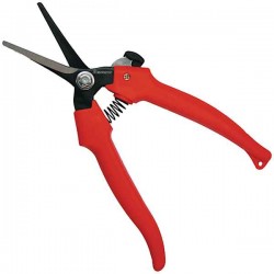 Benman Grape-Vegetable-Flower-Fruit Professional Straight Harvesting Shears 77112