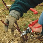 Felco 10 Left Handed Pruning Shears Genuine 21cm D25mm - Official Dealership Pruners-Secateurs