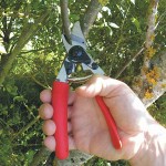 Felco 12 Κλαδευτήρι Γνήσιο 20cm Δ20mm για Δεξιόχειρες - Αυθεντικό Ψαλίδι Αντιπροσωπείας-Κλαδευτήρια