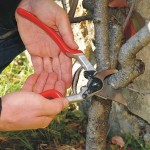 Felco 13 Right Handed Pruning Shears Genuine 27cm D30mm - Official Dealership Pruners-Secateurs