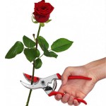 FELCO 4C&H Κλαδευτήρι Κοπής-Κρατήματος Λουλουδιών & Καρπών