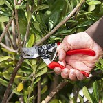 Felco 8 Κλαδευτήρι Γνήσιο 21cm Δ25mm για Δεξιόχειρες - Αυθεντικό Ψαλίδι Αντιπροσωπείας-Κλαδευτήρια