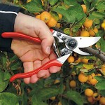 Felco 9 Κλαδευτήρι Γνήσιο 21cm Δ25mm για Αριστερόχειρες - Αυθεντικό Ψαλίδι Αντιπροσωπείας-Κλαδευτήρια