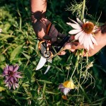 FISKARS PowerGear X P961 22.2cm Pruner - Bypass Garden Pruners